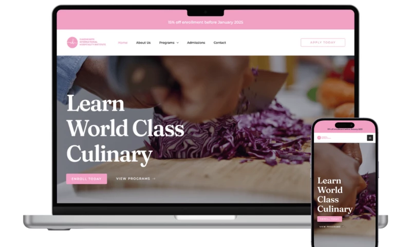 Hussein Swaleh Design - CIHI Web Development