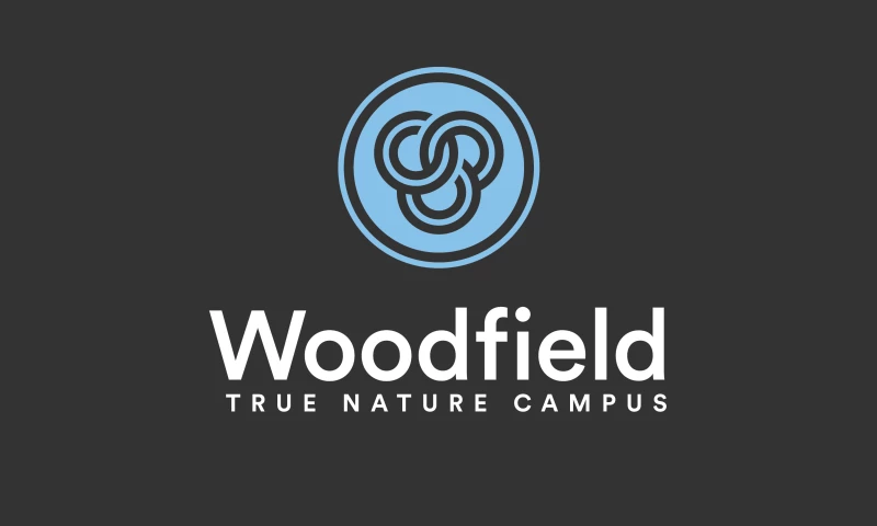 Strategic Brand Positioning + Branding + Style Guide + Website Design + Corporate Video + Illustration + Infographics