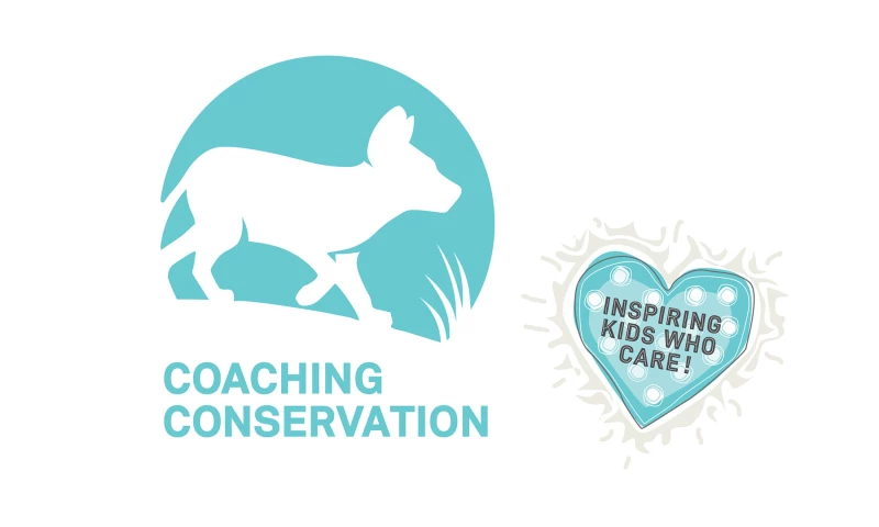 Branding + Style Guide + Educational Material + Infographics