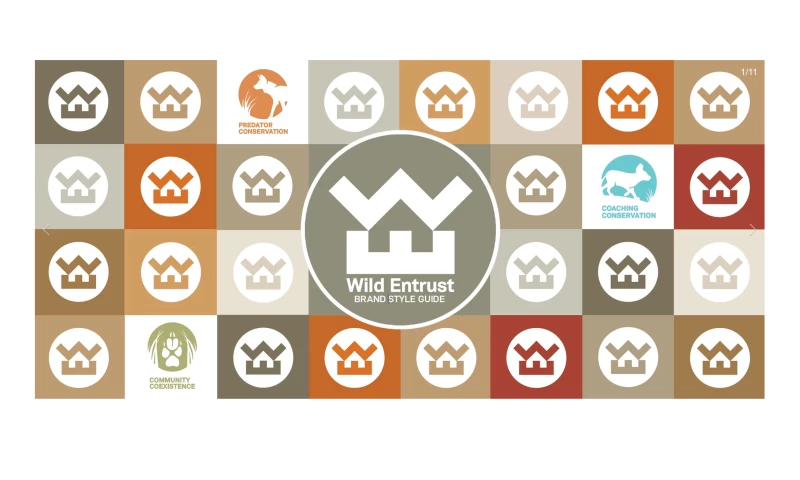 Strategic Brand Positioning + Branding + Website Design + Style Guide + Annual Report + Infographics