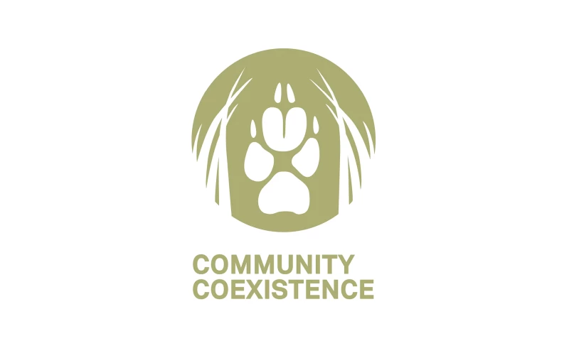 Strategic Brand Positioning + Brand Identity + Style Guide + Infographics + Education Material