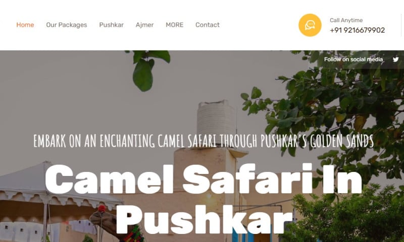 Rush Ltd: Mengurai Fenomena Agency Digital yang Mengguncang Industri
