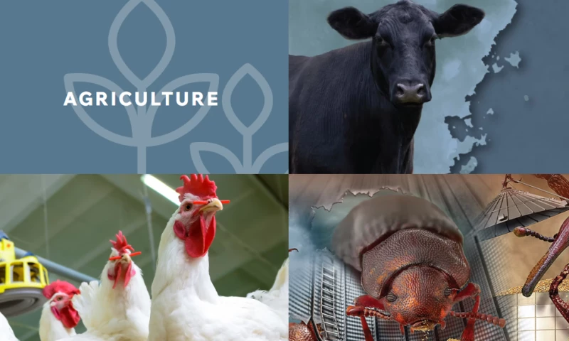 Agriculture Industry