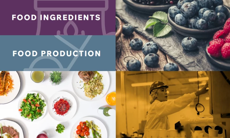 Food Ingredient/Production Industry