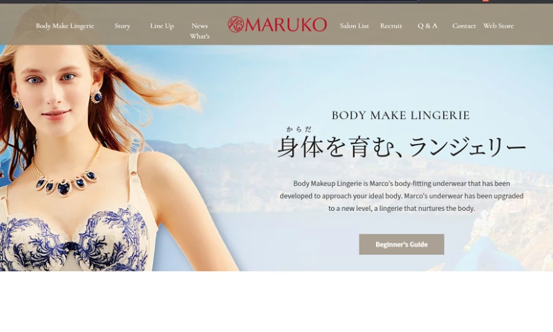 Online Payment system