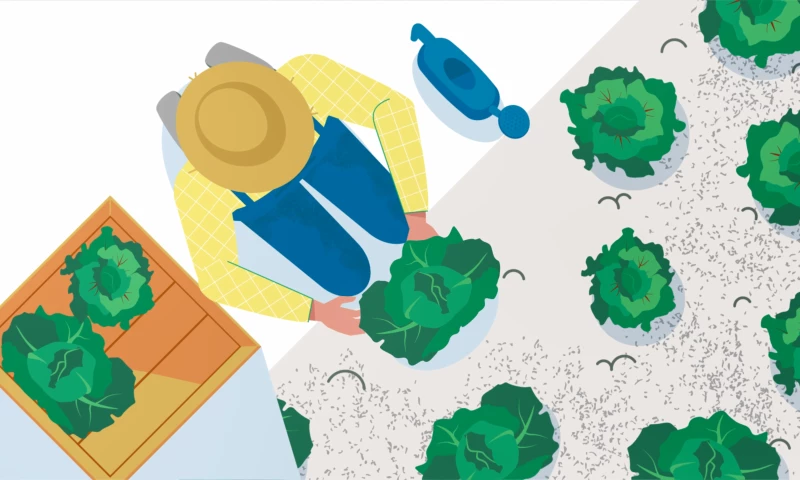 Verstiuk Production - rfxcel – 2D Animated Explainer Video