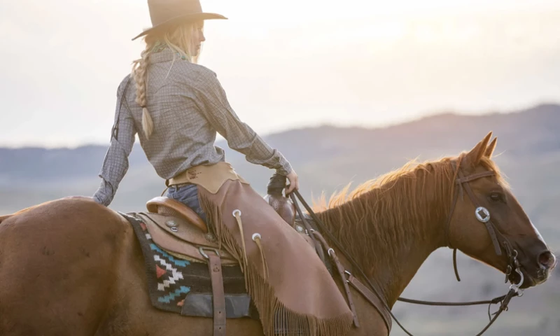 American Quarter Horse Association