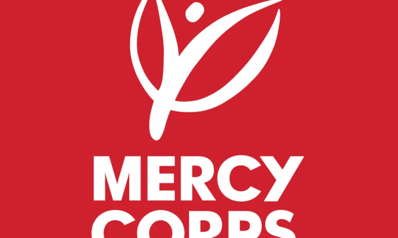 Digital Transformation Consultancy