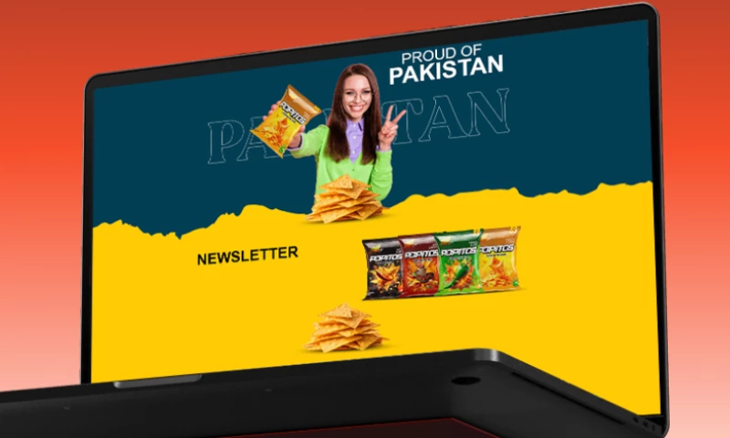 Website Development for Snack Art Nachos Chips