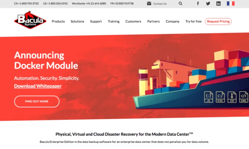 Special Case - CORPORATE WORDPRESS WEBSITE FOR “BACULA SYSTEMS”