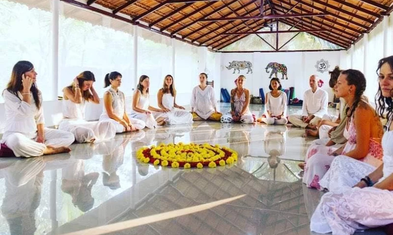 Digital EcoSEO Experts LLP - Indian Yoga School Website Designing and SEO Google Ranking