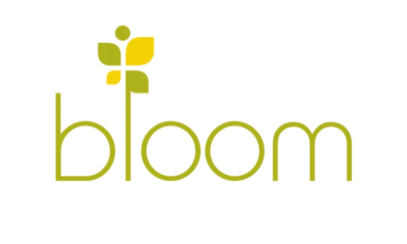 Transforming Digital Outreach for Bloom Non-Profit