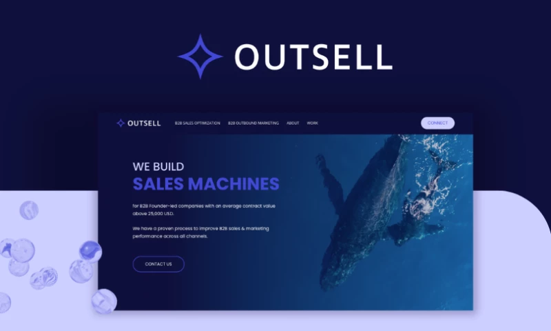 Web Design & CI Dev. for a B2B Sales Consultancy