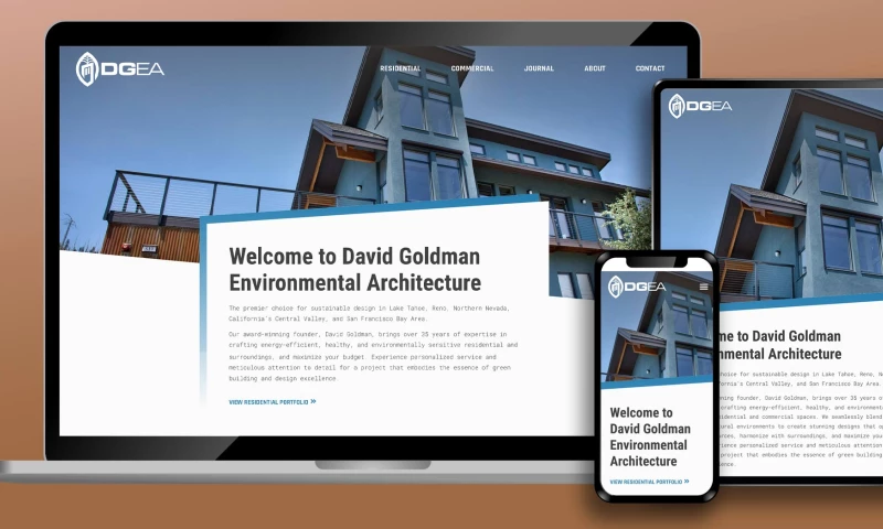 David Goldman Environmental Architecture