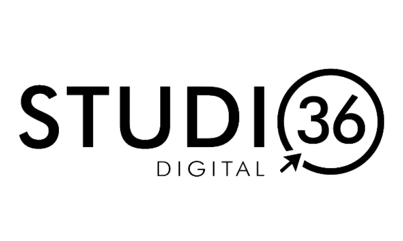 Studio 36 Digital - E-Commerce Clothing Store: 1500% Click Increase
