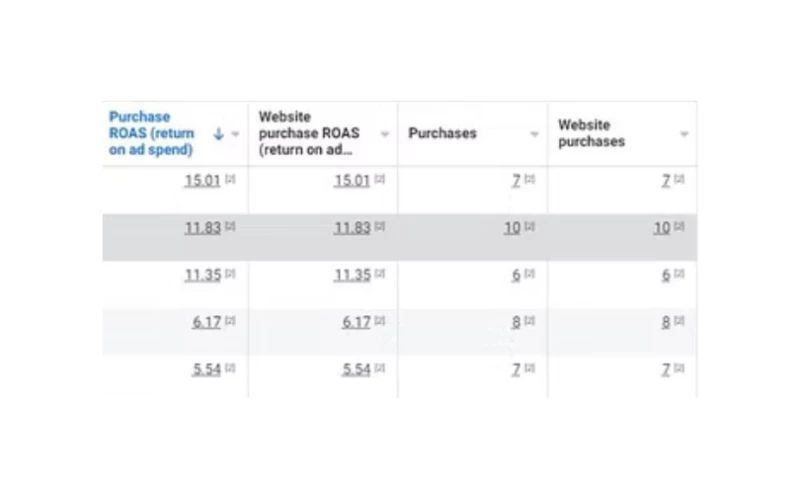 Facebook Advertising (9.98X Returns)