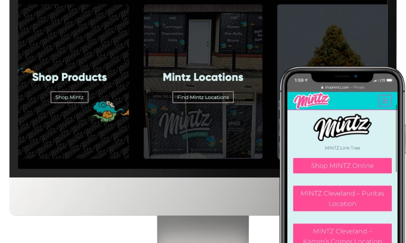 MINTZ Website Development