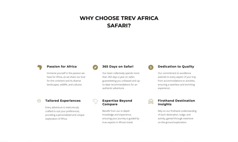 Professional Web Design & Branding Success with Sedi Digital