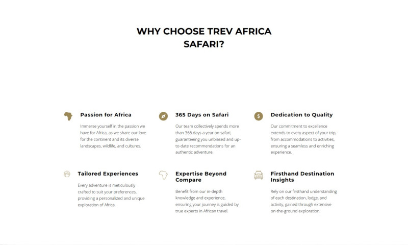 Sedi Digital - Professional Web Design & Branding Success with Sedi Digital