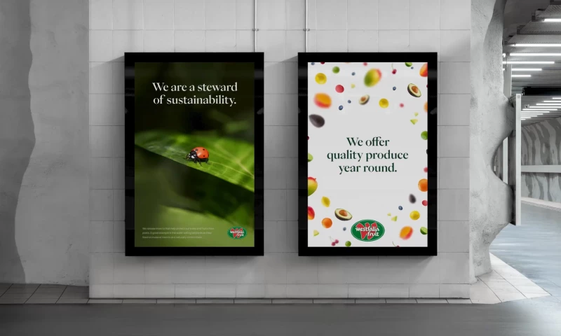 An elevated brand for a market leader.