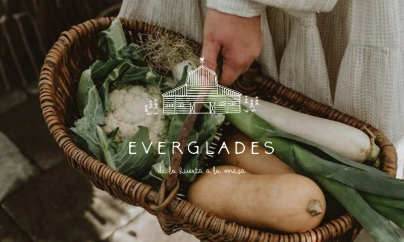 Fátima Rojo - Everglades