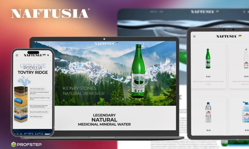 Profstep LLC - Magento Redesign with B2B & SEO Boost