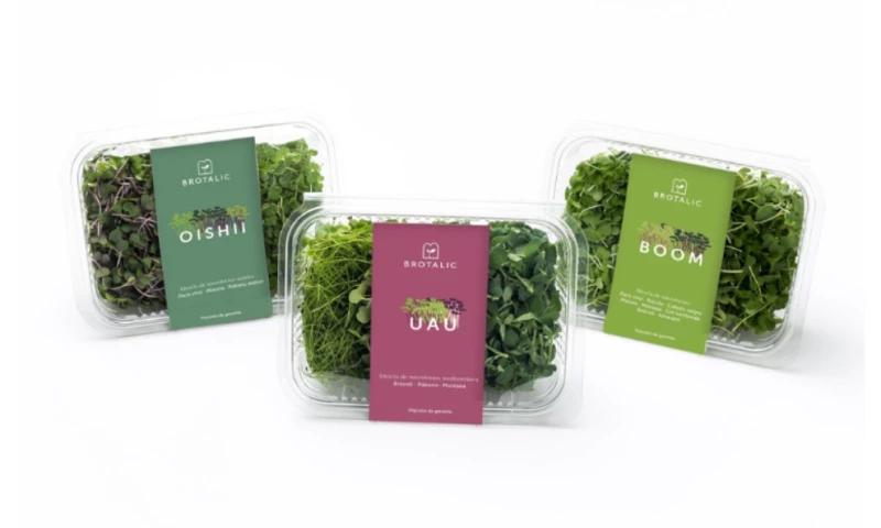 Veralidad Studio - Brotalic