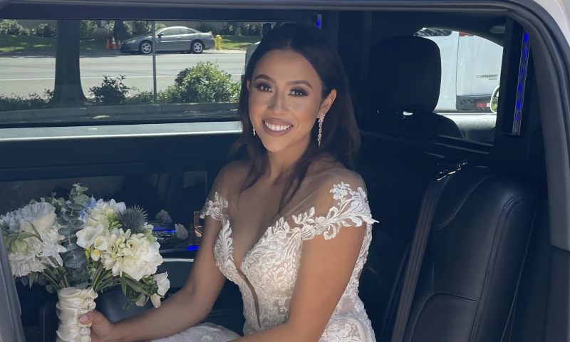 Digital EcoSEO Experts LLP - Digital Marketing Solution for Limo Company in USA