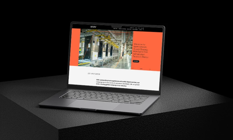 Redefine Web - Website Development BSH