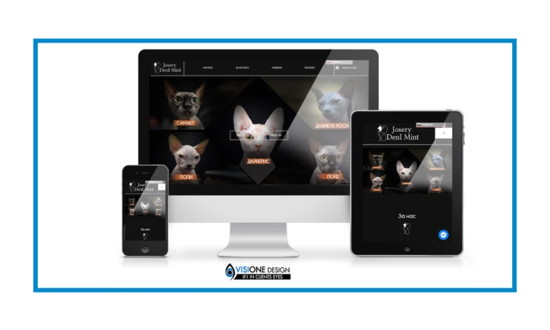 VisiOne Design - Digital Agency - Sphynx-Cat.info