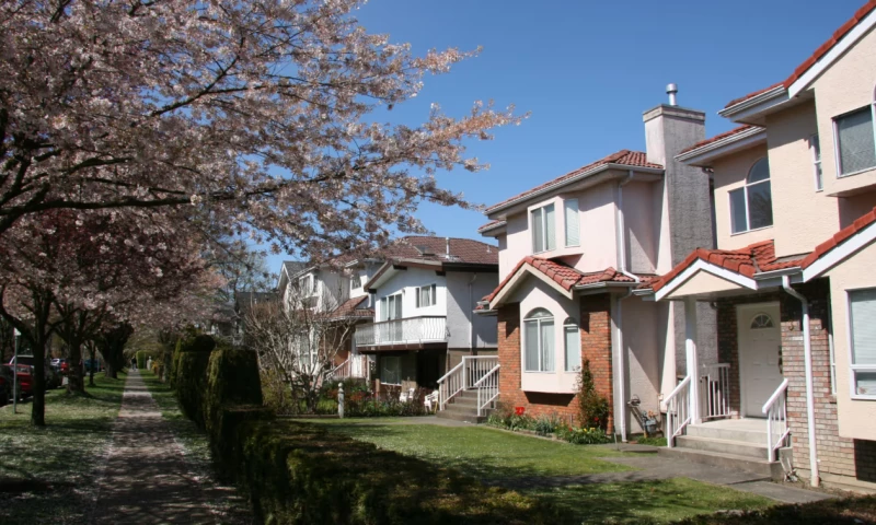 M3Tech Web App - Insurance