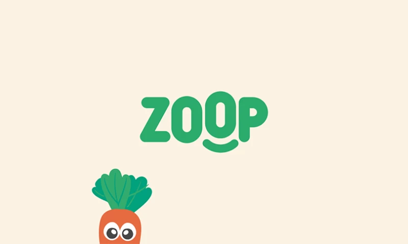 Big Sur Branding - Zoop