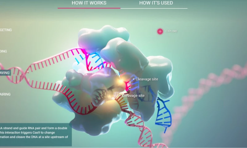 AXS Studio - CRISPR-Cas9 Interactive Application