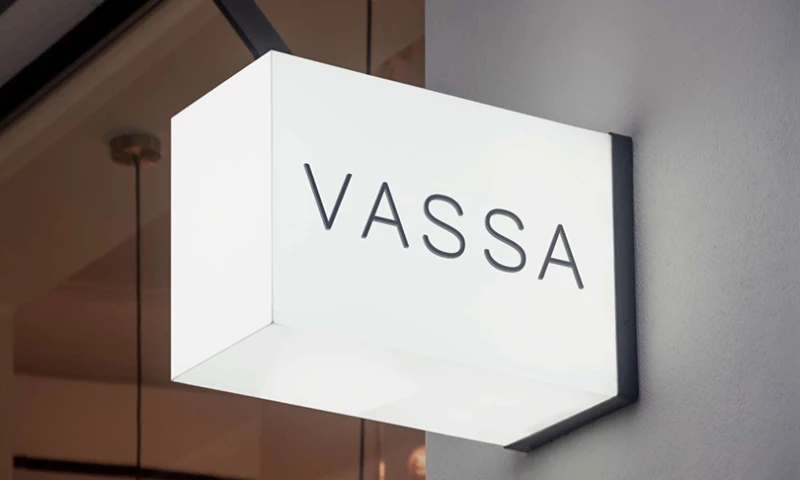 Big Sur Branding - VASSA