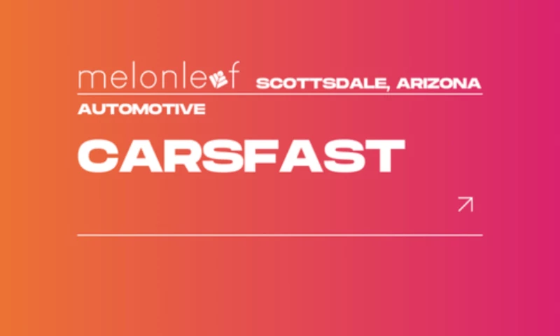 Melonleaf Consulting - Application Management & Support, CRM Consulting & SI, API Development