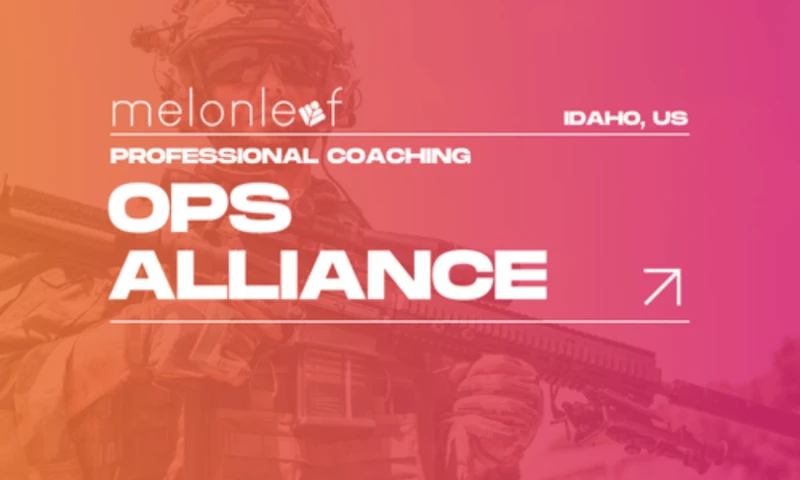 Melonleaf Consulting - Custom Order Management on Salesforce