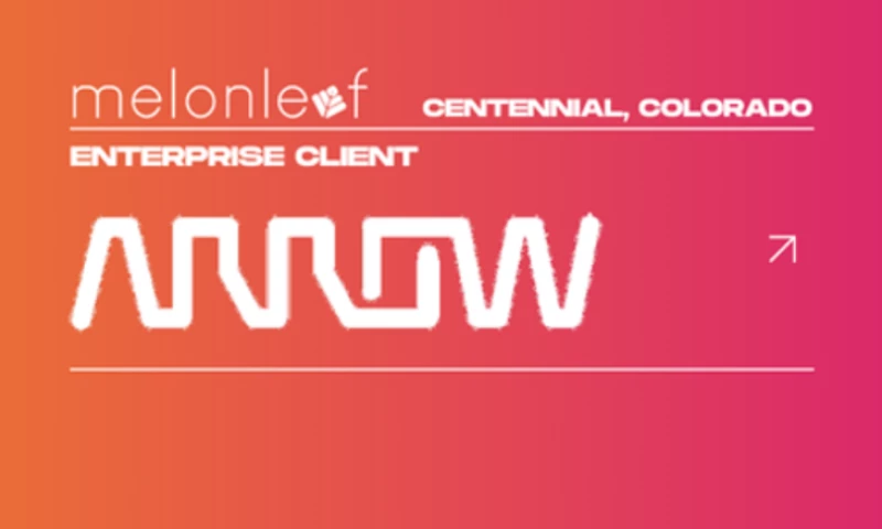 Melonleaf Consulting - Custom Software Development, API Development, CRM Consulting and SI