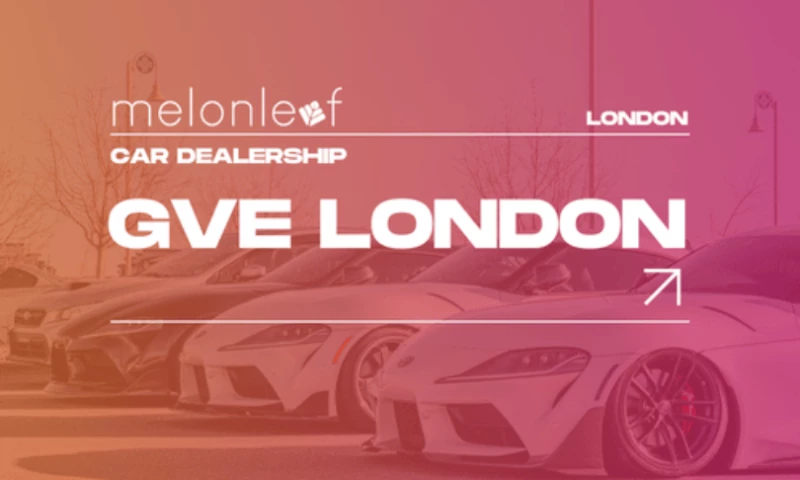 Melonleaf Consulting - Sales Cloud Setup to Streamline Sales and Service Processes