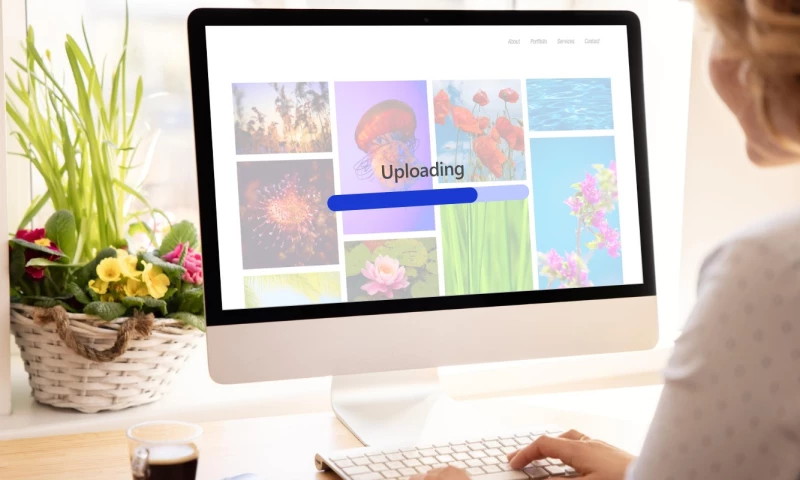 Tailored Product Upload Solutions for an Online Art Gallery