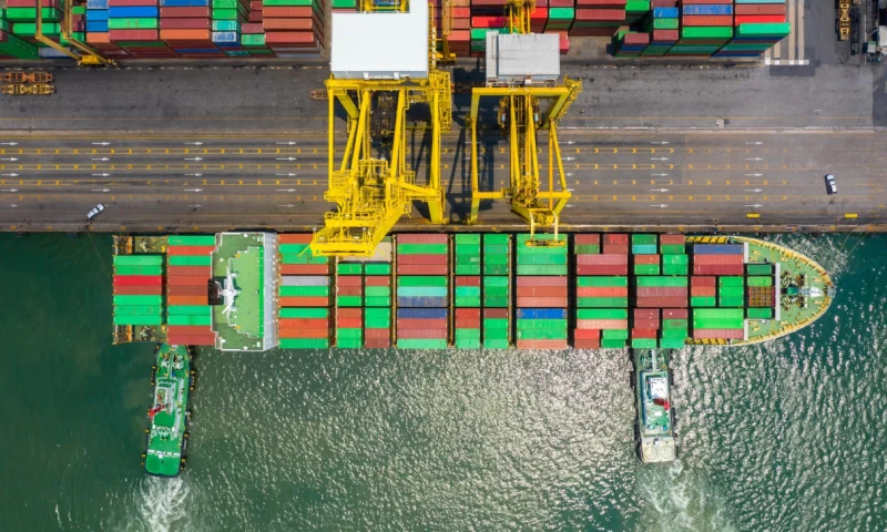 LogChain Mobile & Web App