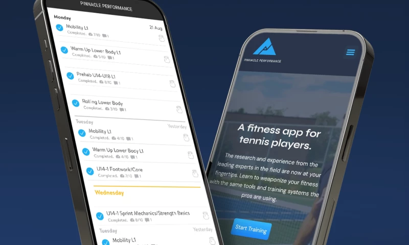 High-Converting WordPress Website Development