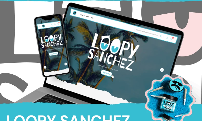 Loopy Sanchez: A Vibrant & Seamless E-Commerce Experience