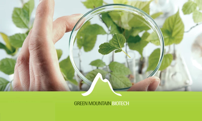 MI } Lets Be Brands - Green Mountain