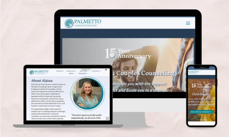 Palmetto Counseling - Website Redesign