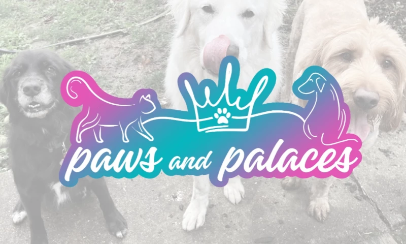 Paws and Palaces - New Brand Design