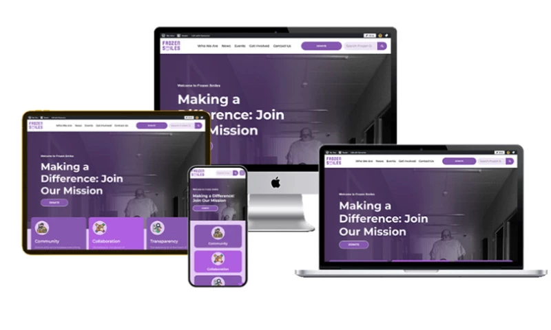 Thunder Web Lab - Frozen Smiles Website Design And Development