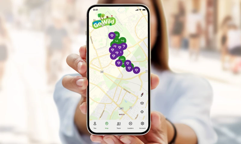 Beat the Street | Mobile app & web user portal for street games