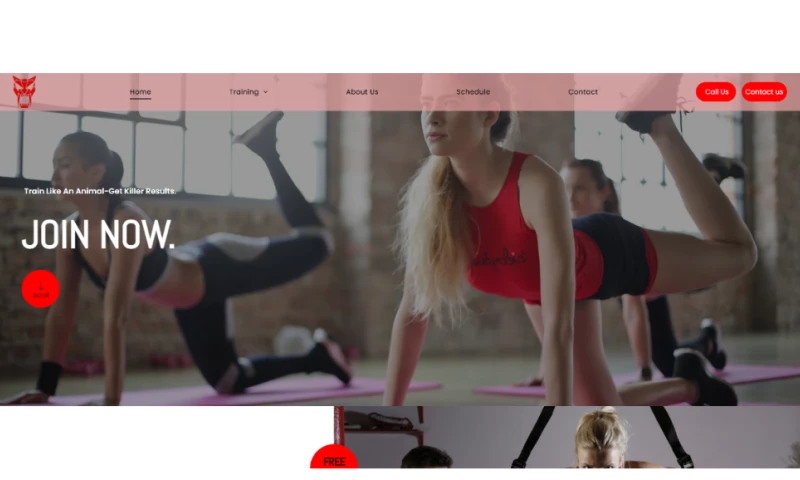 Twin Tech Developers - Fitness Website