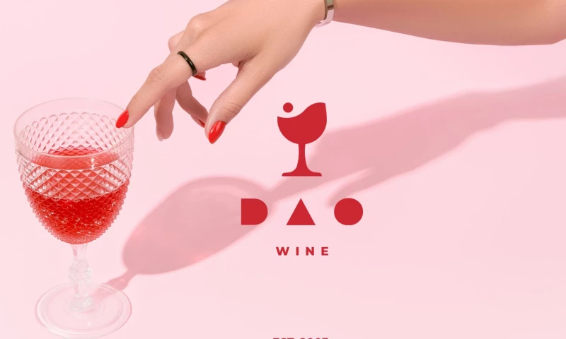 PUZINAS - DAO wine