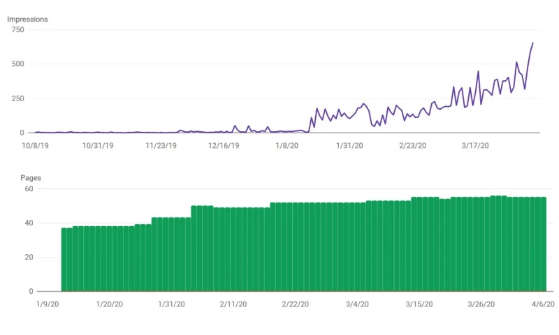 Wildlife Removal Company SEO
